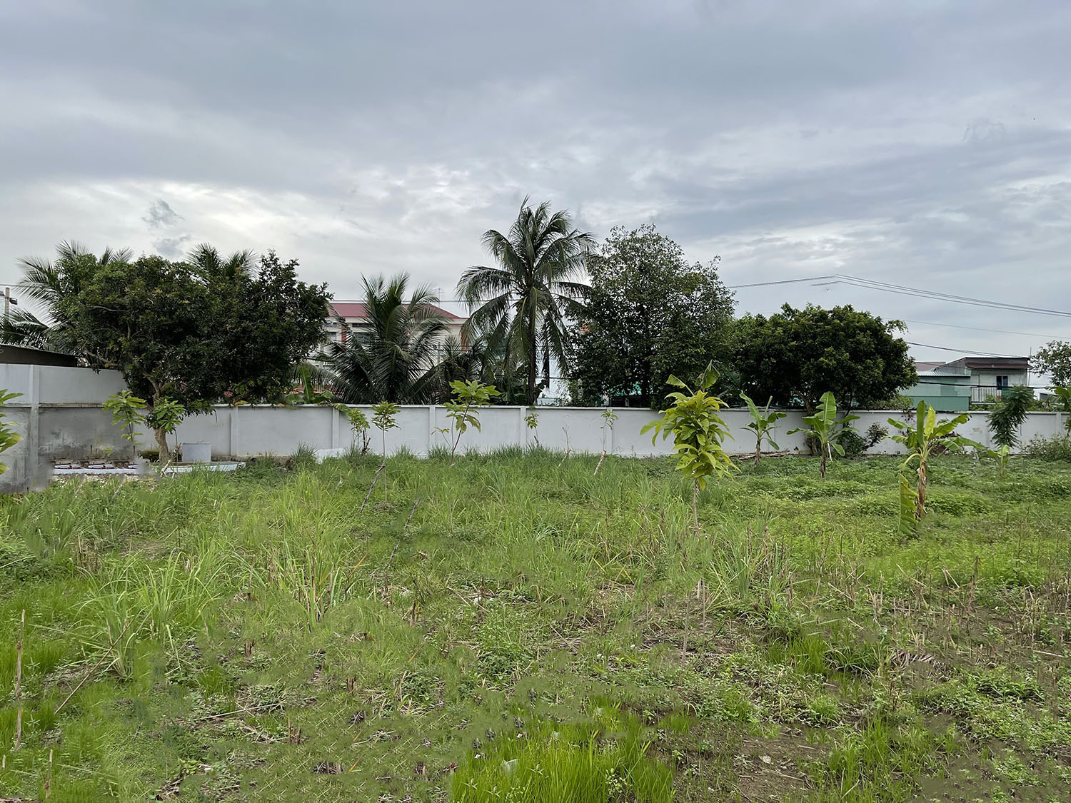 Bán Nhà, Đất Mặt Tiền Dương Đình Cúc, Bình Chánh : Diện tích 4800m2 thổ cư, Giá rẻ 35 triệu/m2